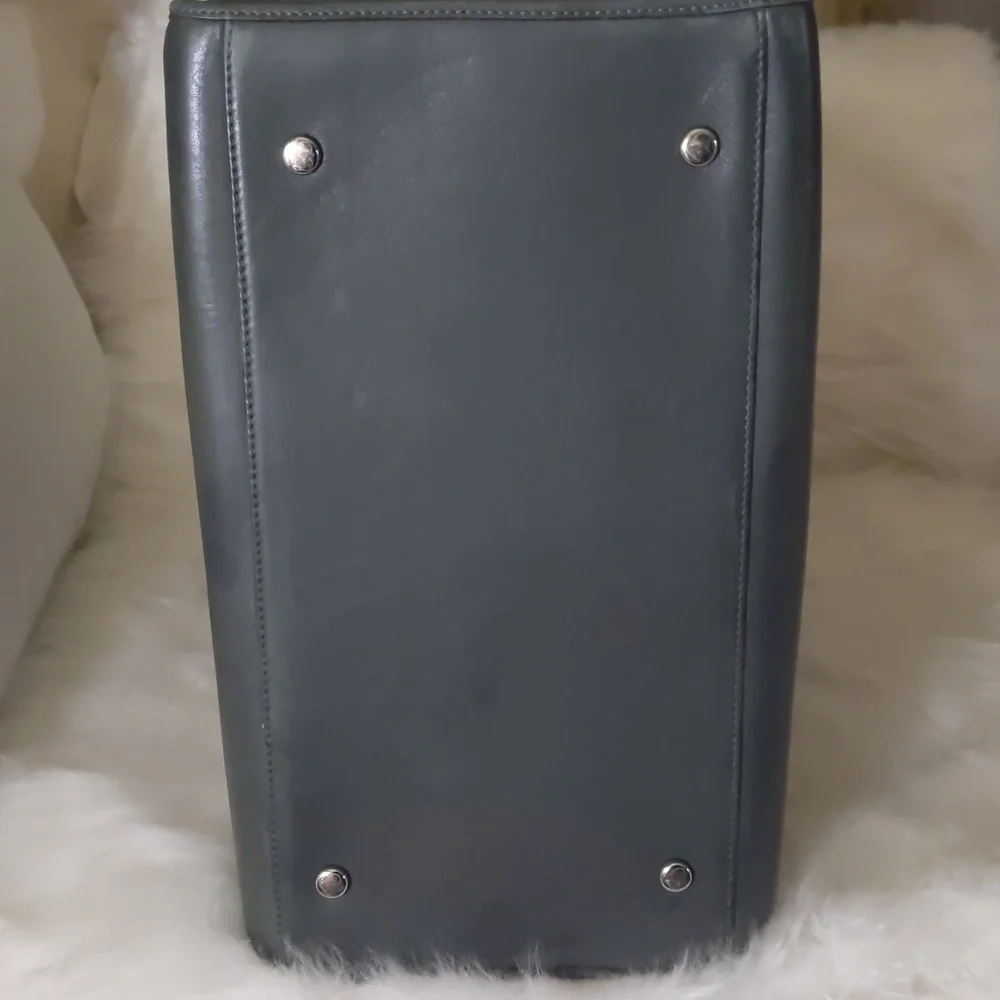 RARE Juicy Couture Pet Carrier Bundle